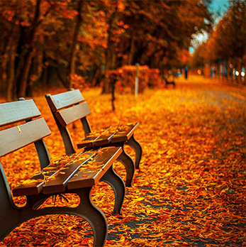 平台在线ddos压力测试