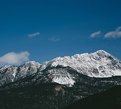 手机攻击器APP下载