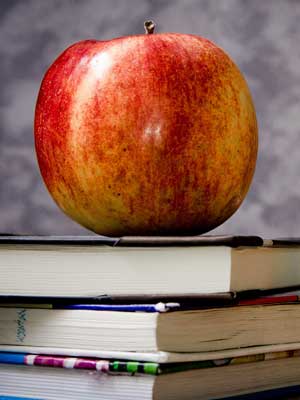 免费ddos在线攻击测试网站