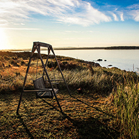 渠道价格直供的ddos在线攻击
