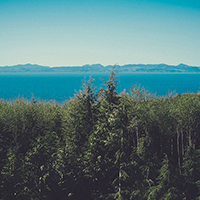 放心购买的网页攻击平台