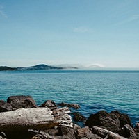 自动攻击网站工具下载